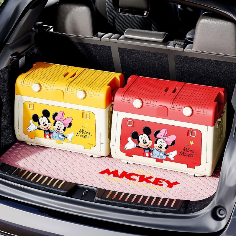 Outdoor Y Camping - Disney originele geautoriseerde opbergbox voor buiten